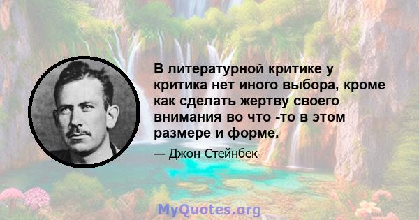 В литературной критике у критика нет иного выбора, кроме как сделать жертву своего внимания во что -то в этом размере и форме.