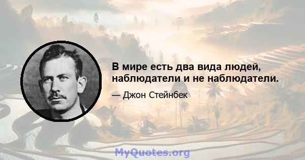 В мире есть два вида людей, наблюдатели и не наблюдатели.