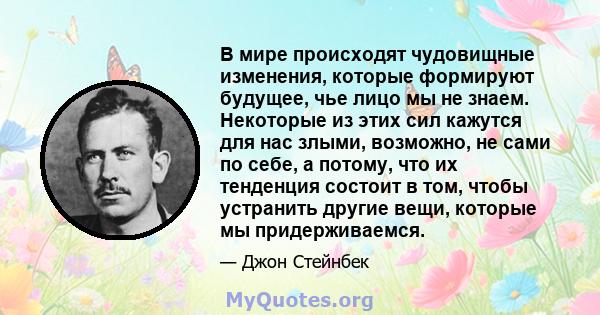 В мире происходят чудовищные изменения, которые формируют будущее, чье лицо мы не знаем. Некоторые из этих сил кажутся для нас злыми, возможно, не сами по себе, а потому, что их тенденция состоит в том, чтобы устранить