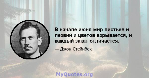 В начале июня мир листьев и лезвий и цветов взрывается, и каждый закат отличается.