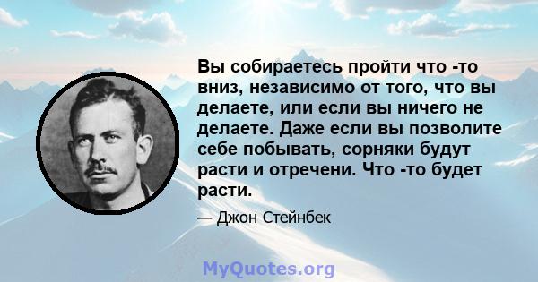 Вы собираетесь пройти что -то вниз, независимо от того, что вы делаете, или если вы ничего не делаете. Даже если вы позволите себе побывать, сорняки будут расти и отречени. Что -то будет расти.