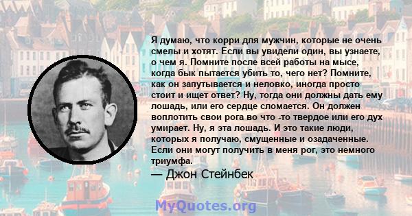 Я думаю, что корри для мужчин, которые не очень смелы и хотят. Если вы увидели один, вы узнаете, о чем я. Помните после всей работы на мысе, когда бык пытается убить то, чего нет? Помните, как он запутывается и неловко, 