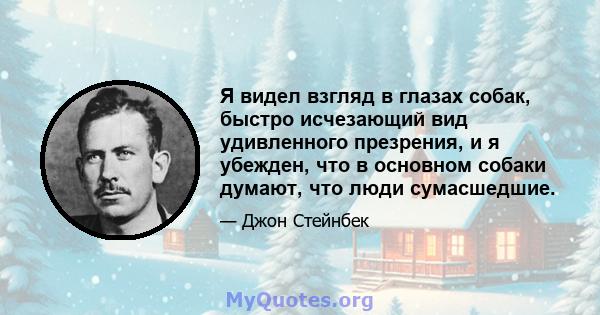 Я видел взгляд в глазах собак, быстро исчезающий вид удивленного презрения, и я убежден, что в основном собаки думают, что люди сумасшедшие.