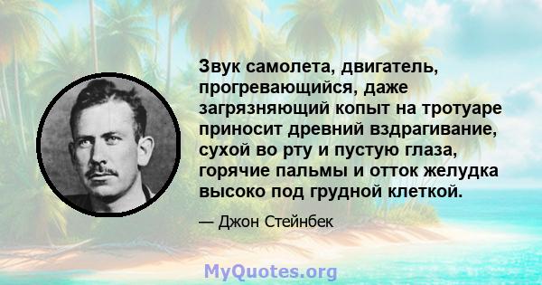 Звук самолета, двигатель, прогревающийся, даже загрязняющий копыт на тротуаре приносит древний вздрагивание, сухой во рту и пустую глаза, горячие пальмы и отток желудка высоко под грудной клеткой.