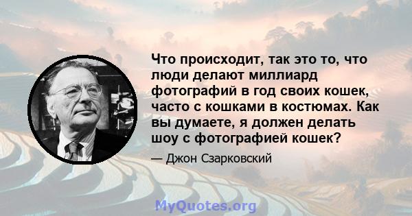 Что происходит, так это то, что люди делают миллиард фотографий в год своих кошек, часто с кошками в костюмах. Как вы думаете, я должен делать шоу с фотографией кошек?