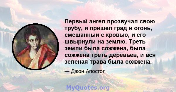 Первый ангел прозвучал свою трубу, и пришел град и огонь, смешанный с кровью, и его швырнули на землю. Треть земли была сожжена, была сожжена треть деревьев, и вся зеленая трава была сожжена.