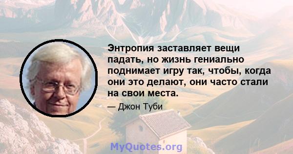 Энтропия заставляет вещи падать, но жизнь гениально поднимает игру так, чтобы, когда они это делают, они часто стали на свои места.