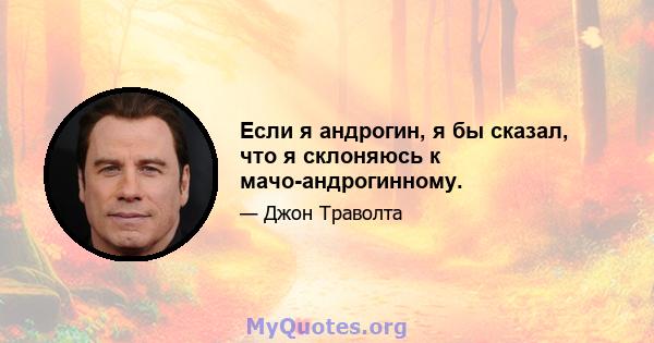 Если я андрогин, я бы сказал, что я склоняюсь к мачо-андрогинному.