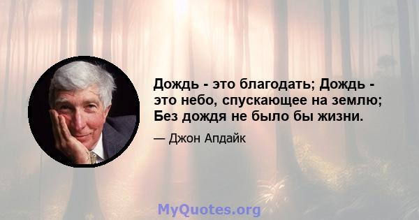 Дождь - это благодать; Дождь - это небо, спускающее на землю; Без дождя не было бы жизни.