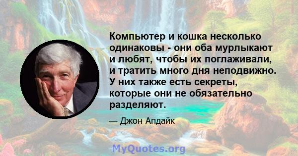 Компьютер и кошка несколько одинаковы - они оба мурлыкают и любят, чтобы их поглаживали, и тратить много дня неподвижно. У них также есть секреты, которые они не обязательно разделяют.