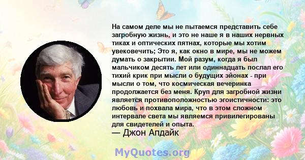 На самом деле мы не пытаемся представить себе загробную жизнь, и это не наше я в наших нервных тиках и оптических пятнах, которые мы хотим увековечить; Это я, как окно в мире, мы не можем думать о закрытии. Мой разум,