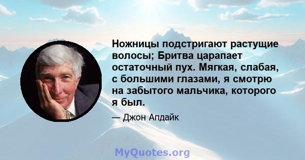 Ножницы подстригают растущие волосы; Бритва царапает остаточный пух. Мягкая, слабая, с большими глазами, я смотрю на забытого мальчика, которого я был.