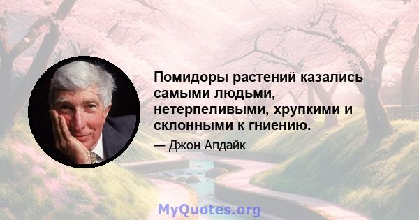 Помидоры растений казались самыми людьми, нетерпеливыми, хрупкими и склонными к гниению.