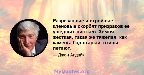 Разрезанные и стройные кленовые скорбят призраков ее ушедших листьев. Земля жесткая, такая же тяжелая, как камень. Год старый, птицы летают.