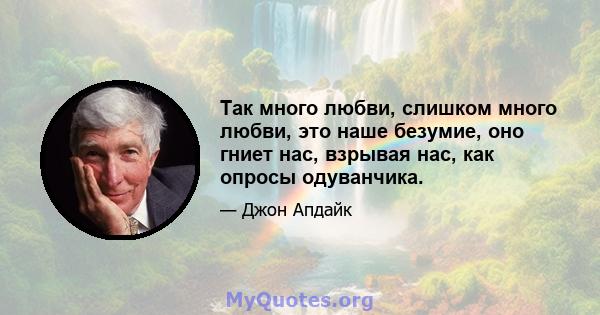 Так много любви, слишком много любви, это наше безумие, оно гниет нас, взрывая нас, как опросы одуванчика.