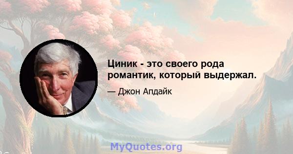 Циник - это своего рода романтик, который выдержал.