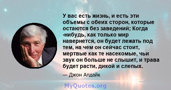 У вас есть жизнь, и есть эти объемы с обеих сторон, которые остаются без заведений; Когда -нибудь, как только мир навернется, он будет лежать под тем, на чем он сейчас стоит, мертвые как те насекомые, чьи звук он больше 