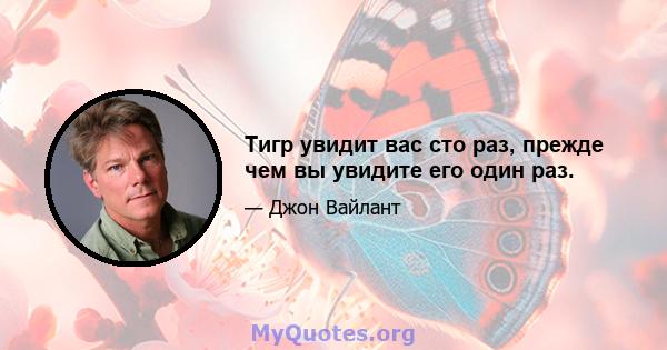 Тигр увидит вас сто раз, прежде чем вы увидите его один раз.