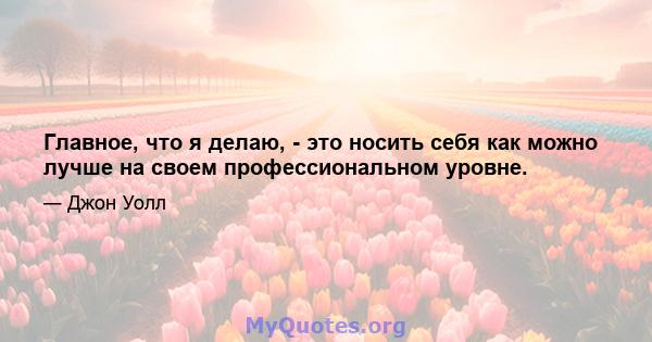 Главное, что я делаю, - это носить себя как можно лучше на своем профессиональном уровне.