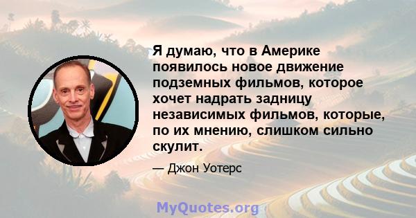 Я думаю, что в Америке появилось новое движение подземных фильмов, которое хочет надрать задницу независимых фильмов, которые, по их мнению, слишком сильно скулит.