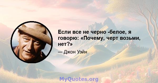 Если все не черно -белое, я говорю: «Почему, черт возьми, нет?»