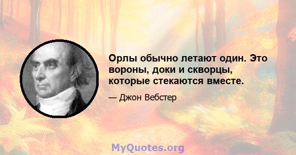 Орлы обычно летают один. Это вороны, доки и скворцы, которые стекаются вместе.