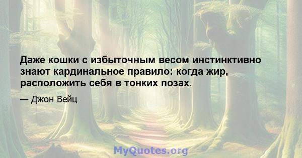 Даже кошки с избыточным весом инстинктивно знают кардинальное правило: когда жир, расположить себя в тонких позах.