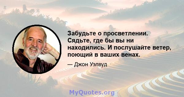 Забудьте о просветлении. Сядьте, где бы вы ни находились. И послушайте ветер, поющий в ваших венах.