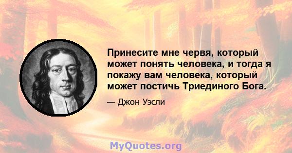 Принесите мне червя, который может понять человека, и тогда я покажу вам человека, который может постичь Триединого Бога.