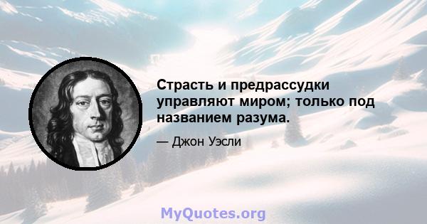 Страсть и предрассудки управляют миром; только под названием разума.