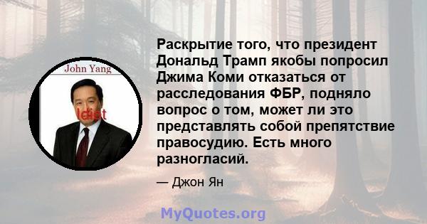 Раскрытие того, что президент Дональд Трамп якобы попросил Джима Коми отказаться от расследования ФБР, подняло вопрос о том, может ли это представлять собой препятствие правосудию. Есть много разногласий.