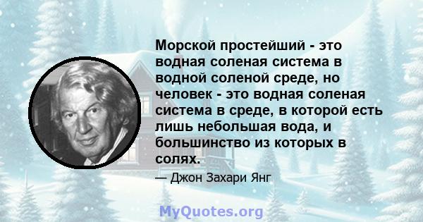 Морской простейший - это водная соленая система в водной соленой среде, но человек - это водная соленая система в среде, в которой есть лишь небольшая вода, и большинство из которых в солях.