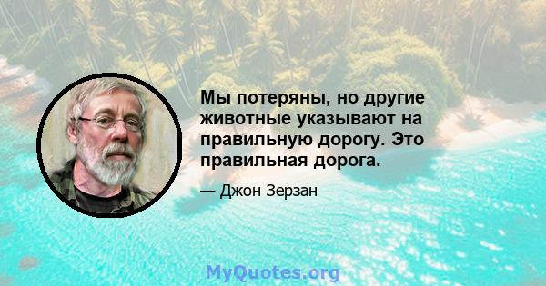 Мы потеряны, но другие животные указывают на правильную дорогу. Это правильная дорога.