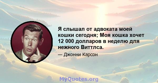 Я слышал от адвоката моей кошки сегодня; Моя кошка хочет 12 000 долларов в неделю для нежного Виттлса.