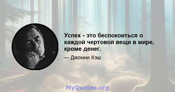 Успех - это беспокоиться о каждой чертовой вещи в мире, кроме денег.