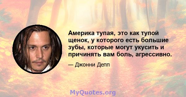 Америка тупая, это как тупой щенок, у которого есть большие зубы, которые могут укусить и причинять вам боль, агрессивно.