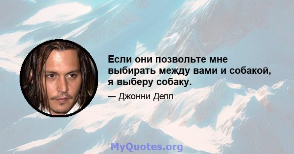 Если они позвольте мне выбирать между вами и собакой, я выберу собаку.