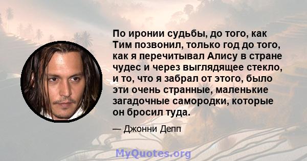 По иронии судьбы, до того, как Тим позвонил, только год до того, как я перечитывал Алису в стране чудес и через выглядящее стекло, и то, что я забрал от этого, было эти очень странные, маленькие загадочные самородки,