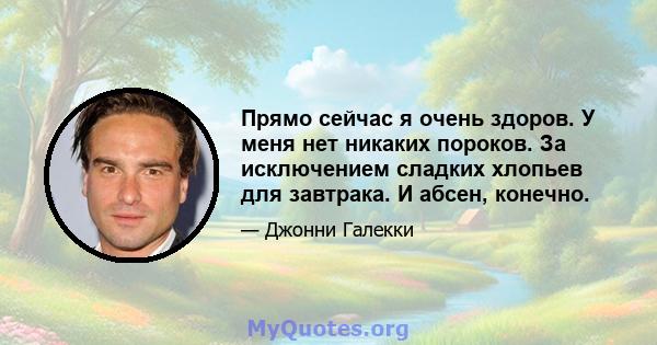 Прямо сейчас я очень здоров. У меня нет никаких пороков. За исключением сладких хлопьев для завтрака. И абсен, конечно.