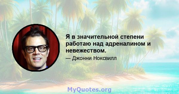 Я в значительной степени работаю над адреналином и невежеством.