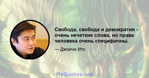 Свобода, свобода и демократия - очень нечеткие слова, но права человека очень специфичны.