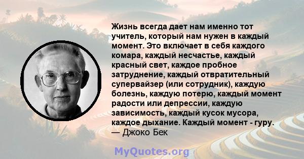 Жизнь всегда дает нам именно тот учитель, который нам нужен в каждый момент. Это включает в себя каждого комара, каждый несчастье, каждый красный свет, каждое пробное затруднение, каждый отвратительный супервайзер (или