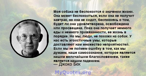 Моя собака не беспокоится о значении жизни. Она может беспокоиться, если она не получит завтрак, но она не сидит, беспокоясь о том, будет ли она удовлетворена, освобождена или просвещена. Пока она получает немного еды и 