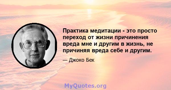 Практика медитации - это просто переход от жизни причинения вреда мне и другим в жизнь, не причиняя вреда себе и другим.