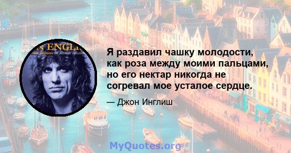 Я раздавил чашку молодости, как роза между моими пальцами, но его нектар никогда не согревал мое усталое сердце.