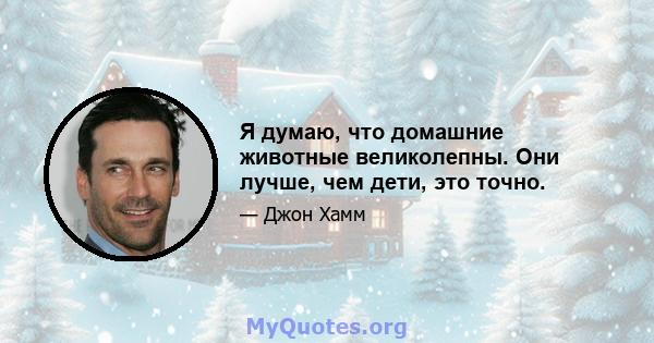 Я думаю, что домашние животные великолепны. Они лучше, чем дети, это точно.