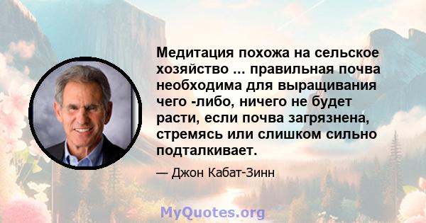 Медитация похожа на сельское хозяйство ... правильная почва необходима для выращивания чего -либо, ничего не будет расти, если почва загрязнена, стремясь или слишком сильно подталкивает.