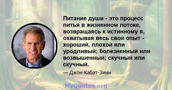 Питание души - это процесс питья в жизненном потоке, возвращаясь к истинному я, охватывая весь свой опыт - хороший, плохой или уродливый; болезненный или возвышенный; скучный или скучный.