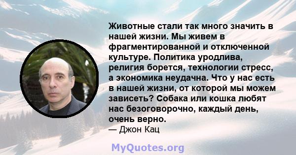 Животные стали так много значить в нашей жизни. Мы живем в фрагментированной и отключенной культуре. Политика уродлива, религия борется, технологии стресс, а экономика неудачна. Что у нас есть в нашей жизни, от которой