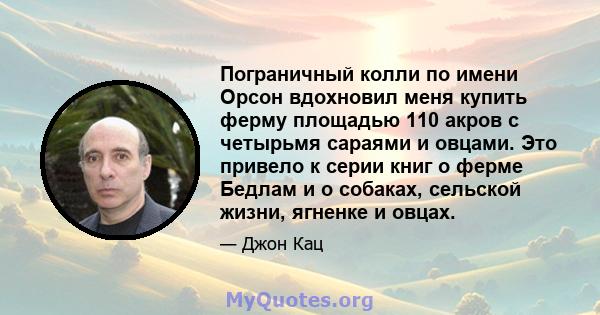 Пограничный колли по имени Орсон вдохновил меня купить ферму площадью 110 акров с четырьмя сараями и овцами. Это привело к серии книг о ферме Бедлам и о собаках, сельской жизни, ягненке и овцах.